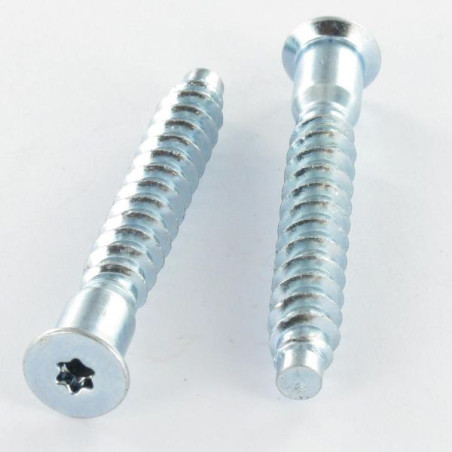 1 x Vite Autoperforante Confirmat Testa Forata Torx 7X50 SS Dentellato Zincate T20