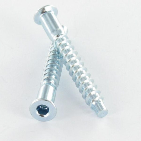 1 x Vite Autoperforante Confirmat Testa Forata Esagono Incassato 5X50 SS Dentellato Zincate