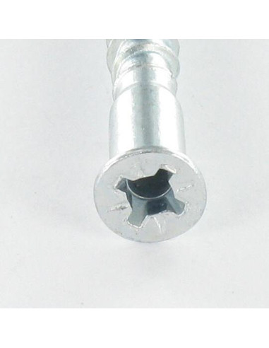 1 x Vite Autoperforante TF3 Pozy 7X40 SS...