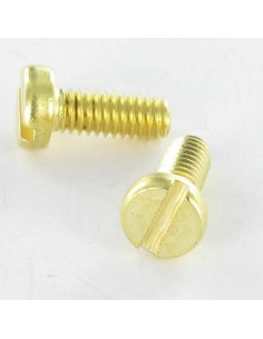Vite Per Metalli Ottone Testa Cilindrica Con Intaglio M6X20