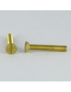 Vite Per Metalli Ottone Testa Forata Con Intaglio M5X30