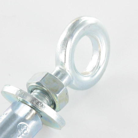 1 x Tassello Ancoraggio Con Golfare A Vite M12 20X80 Zincate