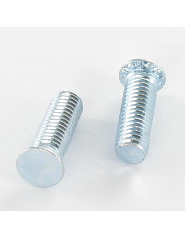 1 x Vite A Rivetto M5X10 Zincate