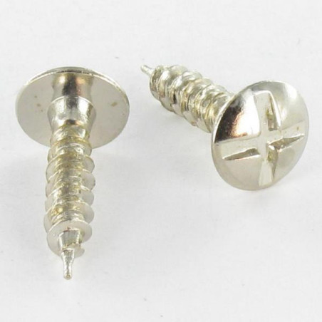1 x Vite Lacroix Acciaio Nichel 3,5X17
