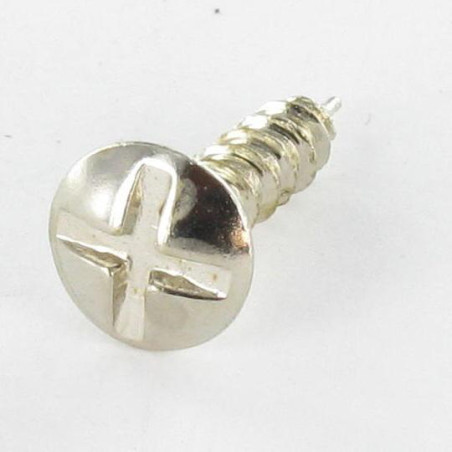 1 x Vite Lacroix Acciaio Nichel 3,5X17