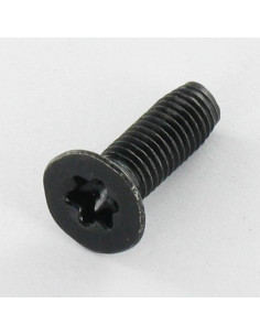 Vite Autofilettante Testa Forata M5X16 T25 Acciaio...