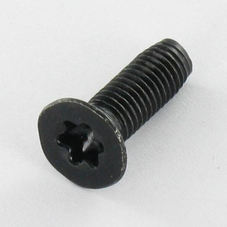 1 x Vite Autofilettante Testa Forata M5X16 T25 Acciaio Zincato Nero