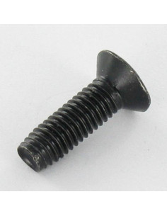 Vite Autofilettante Testa Forata M5X16 T25 Acciaio... 2