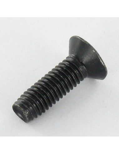 1 x Vite Autofilettante Testa Forata M5X16 T25...