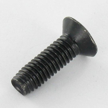 1 x Vite Autofilettante Testa Forata M5X16 T25 Acciaio Zincato Nero