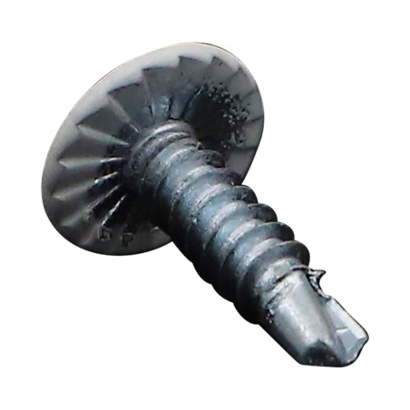 1 x Vite Autoperforante Testa Poelier Larga Phillips Dentellato 4,2 x 16 Zincate RAL 9016
