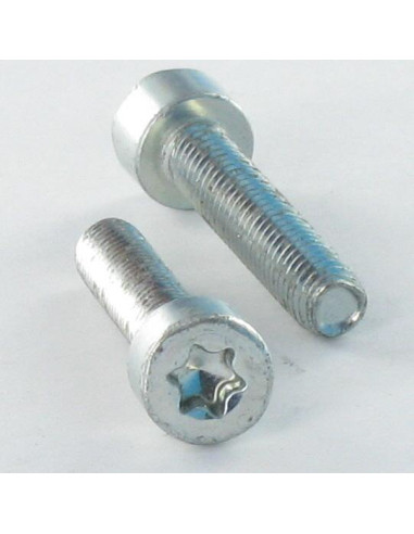 1 x Vite Autofilettante Testa Cilindrica M6X30...