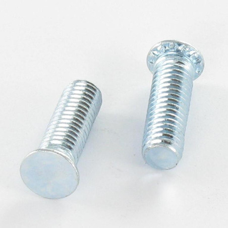 1 x Vite A Rivetto M6X12 Zincate