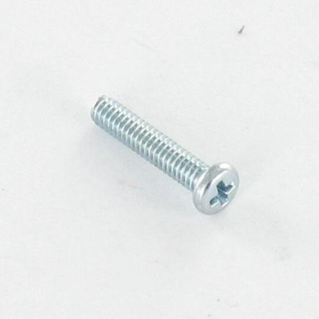 1 x Vite Autofilettante Filetto Metalli Testa Cilindrica Phillips M2X5 Zincate microviti