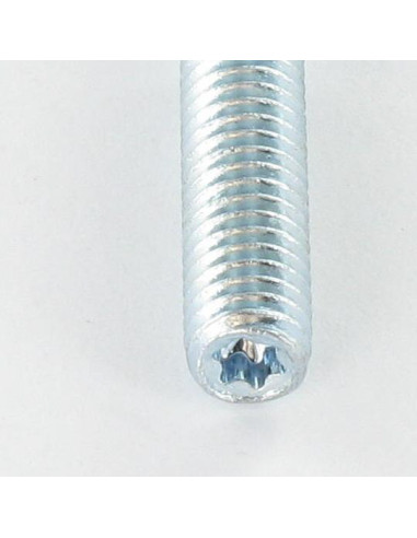 1 x Vite Prigioniera Fischer STST T15 Zincate 6X80