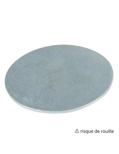 1 x Rondella/Disco senza foro 24,25 x 2,38 Zincate