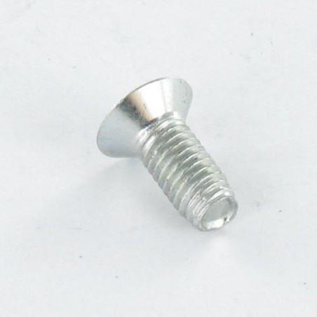 1 x Vite Autofilettante Testa Forata M4X10 T20 Zincate