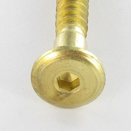 1 x Vite Autoperforante Confirmat Testa Poelier Larga Esagono Incassato 7X50 Acciaio Ottonato