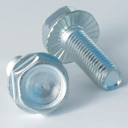 1 x Vite Autofilettante Testa Esagonale Flangia Dentellata M10X30 Zincate