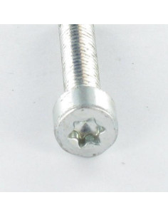Vite Autofilettante Testa Cilindrica M5X12 T25 Zincate 2