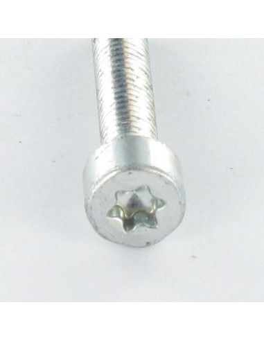 1 x Vite Autofilettante Testa Cilindrica M5X12...