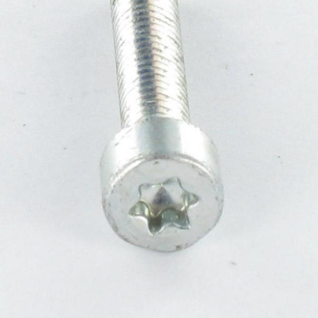 1 x Vite Autofilettante Testa Cilindrica M5X12 T25 Zincate