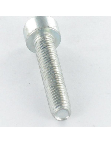 1 x Vite Autofilettante Testa Cilindrica M5X12...