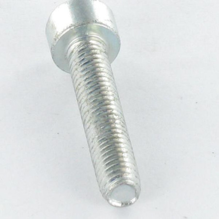1 x Vite Autofilettante Testa Cilindrica M5X12 T25 Zincate