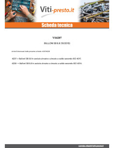 Bullone (Venduto Con Dado) Testa Esagonale M20X70 Classe... 2