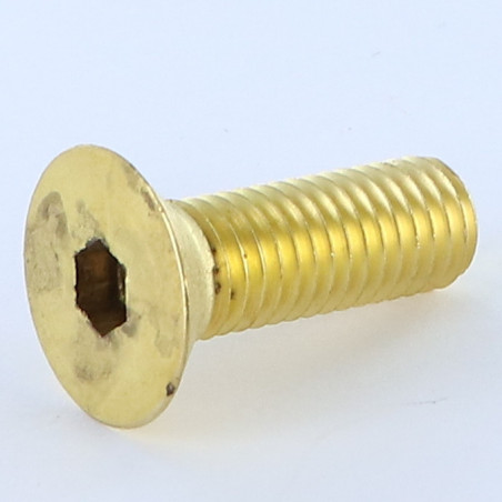 1 x Vite Per Metalli Ottone Chiave Esagonale Da 6 Testa Forata Con Esagono Incassato M10X30