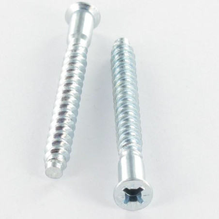 1 x Vite Autoperforante Confirmat Testa Forata Pozi PZ5 5X50 SS Dentellato Zincate