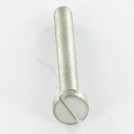 1 x Vite Per Metalli Ottone Vulcanizzato Testa Cilindrica Larga Con Intaglio M2.5X4 microviti