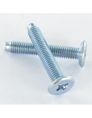 1 x Vite Per Metalli Piatta Pozy M6X60 Punta A...