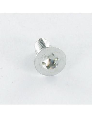 1 x Vite Autofilettante Testa Forata M4X8 T20...