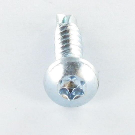 1 x Vite Autoperforante Testa Cilindrica Bombata 5,5X19 T25 Zincate