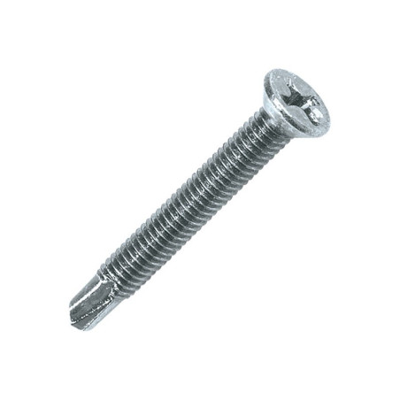 1 x Vite Autoperforante Pvc Metalli Testa Forata Phillips 2 4X19 Zincate