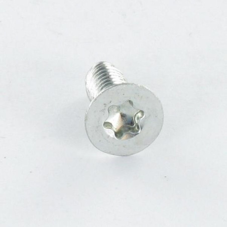 1 x Vite Autofilettante Testa Forata M3X4 T10 Zincate microviti