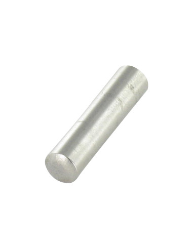 1 x Pasadores Cilindrica 3X8 Acciaio Inox A1