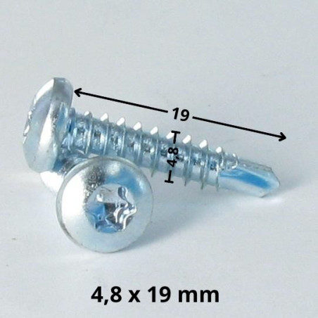 1 x Vite Autoperforante Testa Cilindrica Bombata 4,8X19 T25 Zincate