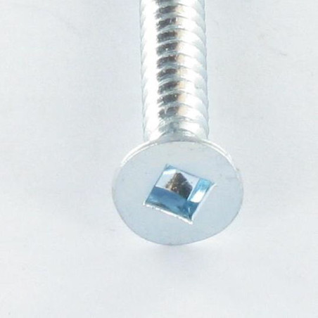1 x Vite Autoperforante Testa Forata Quadrato 3,9X25 Ingombro quadrato 1 Zincate