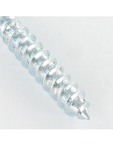 1 x Vite Prigioniera Fischer STST T25 Zincate...