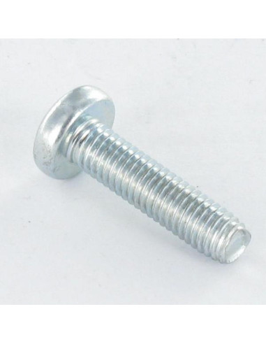 1 x Vite Autofilettante testa bombata larga...