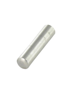 Pasadores Cilindrica 8X55 Acciaio Inox A1