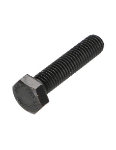 Vite Per Metalli Testa Esagonale M10X45 Classe 10.9...