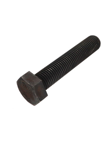 1 x Vite Per Metalli Testa Esagonale M30X150...