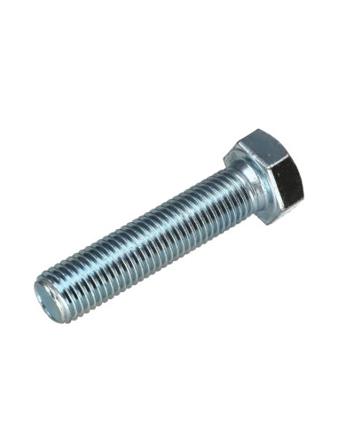 1 x Vite Per Metalli Testa Esagonale M16X55...