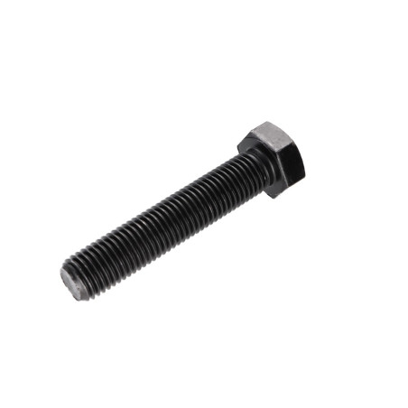 1 x Vite Per Metalli Testa Esagonale M24X120 Classe 10.9 Acciaio Grezzo