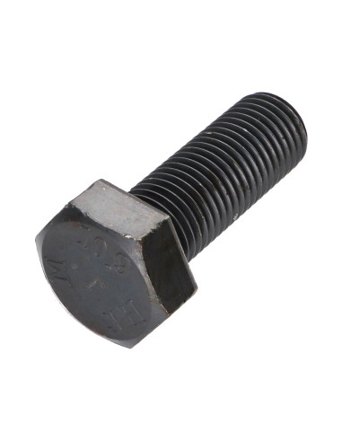 1 x Vite Per Metalli Testa Esagonale M22X60...