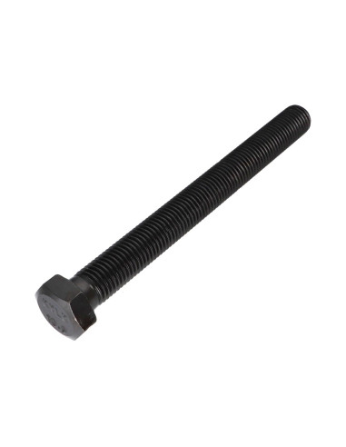 1 x Vite Per Metalli Testa Esagonale M20X220...