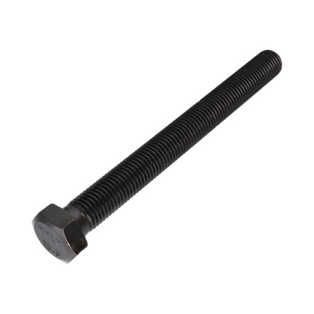 1 x Vite Per Metalli Testa Esagonale M20X220 Classe 10.9 Acciaio Grezzo